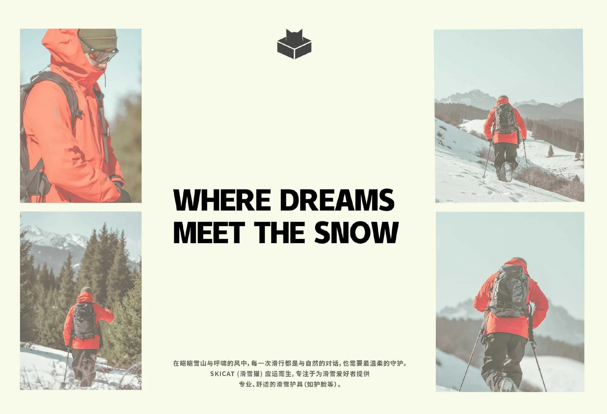 SKICAT 项目展示